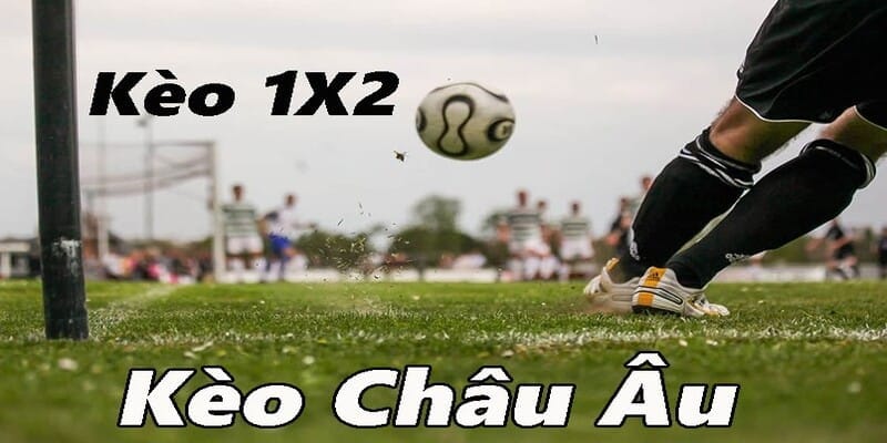23win-Kèo Châu Âu