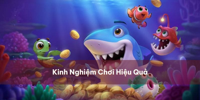 bo-tui-cam-nang-di-san-huu-hieu-rinh-tien-trieu
